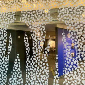 Optically Clear Window Film